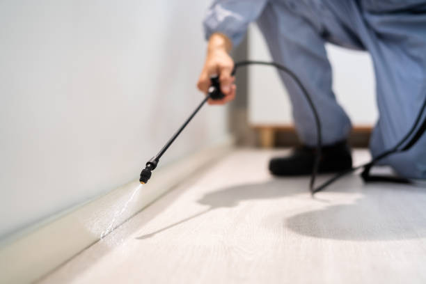 Bed Bug Pre-Treatment Preparation Assessment in Elkins