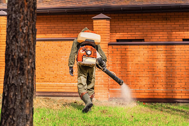 Bed Bug Clearance Verification and Documentation in Elkins